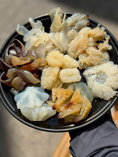 CÁC LOẠI SỨA