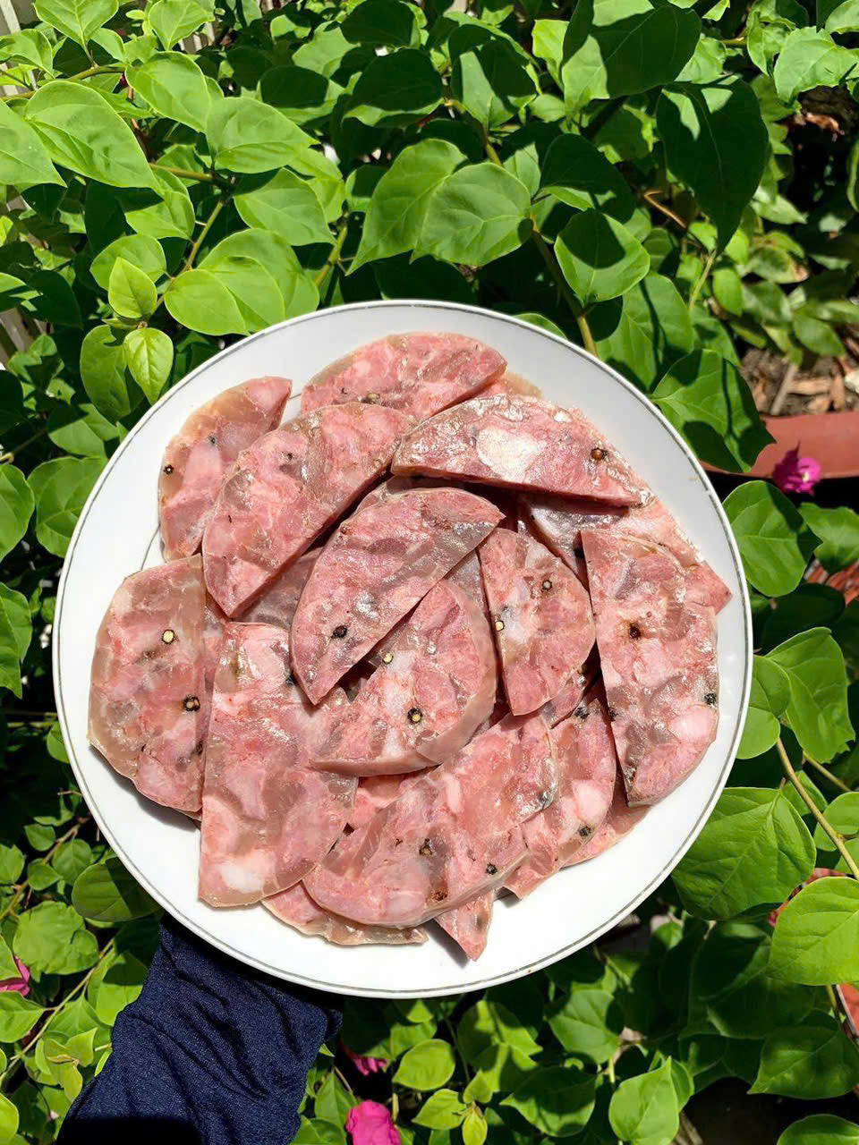 Pate bóng bì không trứng muối