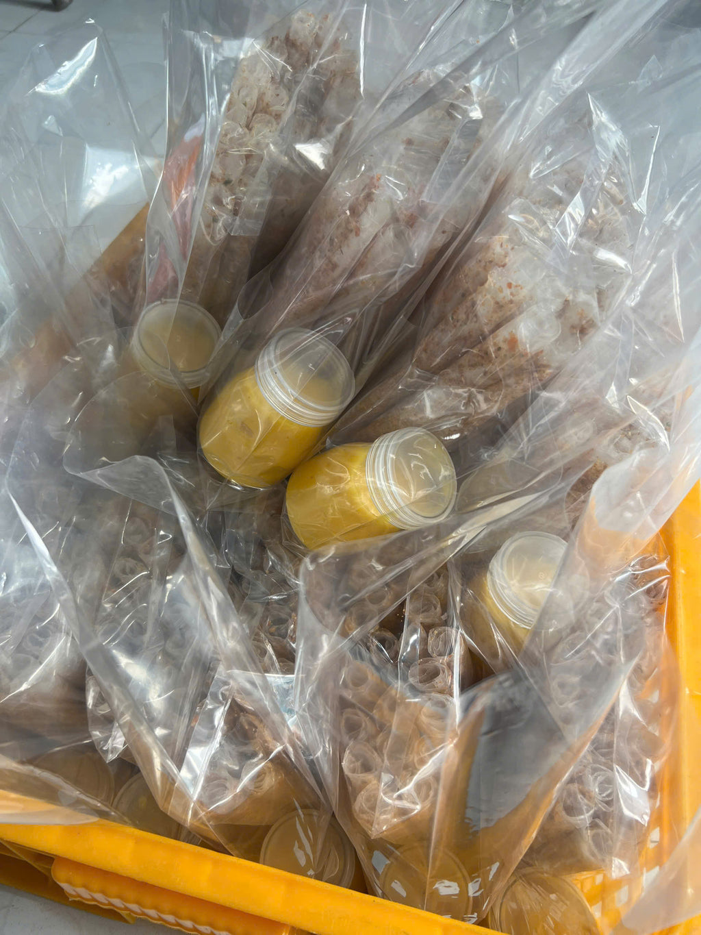 SET BÁNH TRÁNG ỐNG TÔM CHÁY MUỐI BÉO