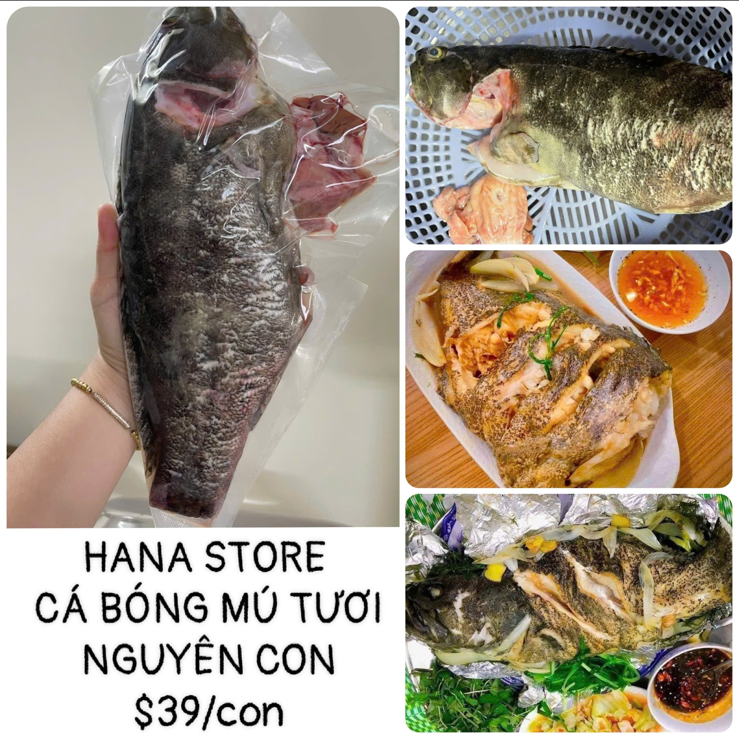 CÁ BÓNG MÚ TƯƠI NGUYÊN CON