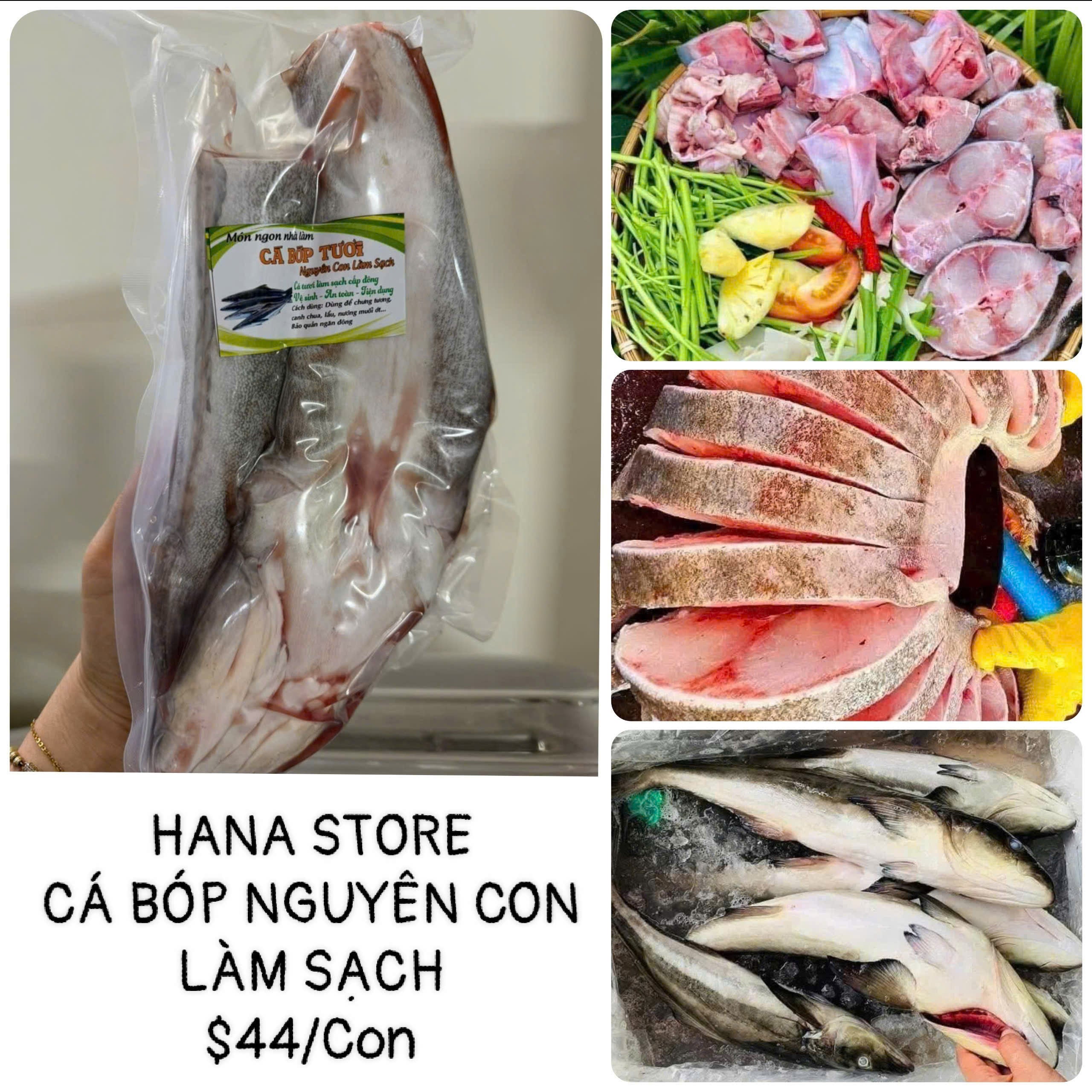 CÁ BÓP NGUYÊN CON LÀM SẠCH