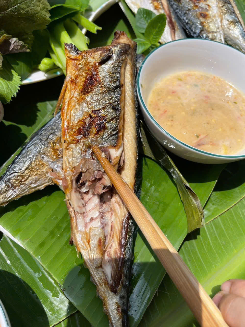 CÁ GÁC BẾP