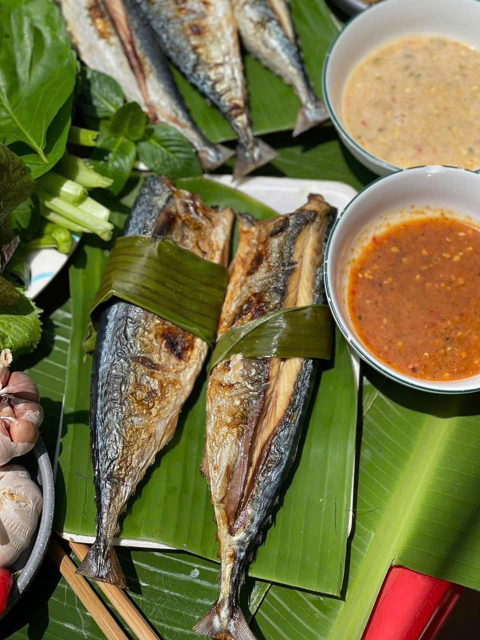 CÁ GÁC BẾP
