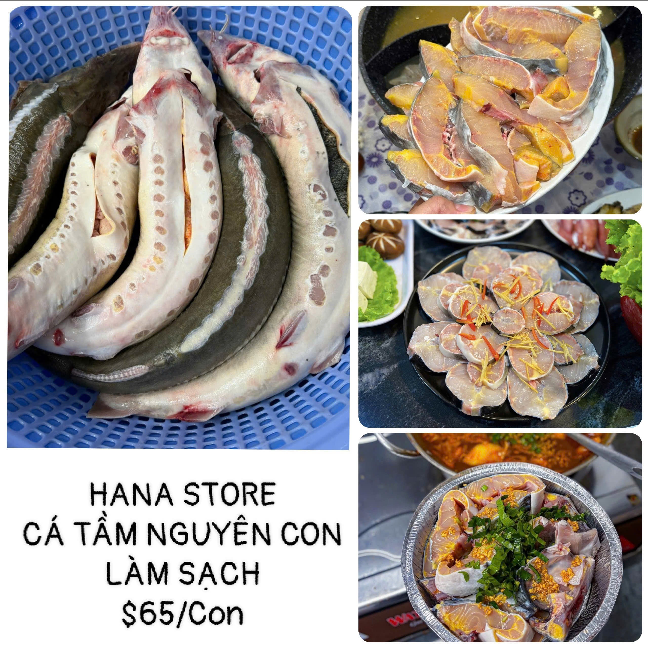 CÁ TẦM NGUYÊN CON LÀM SẠCH