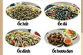 ỐC ĐÀ NẴNG MIX