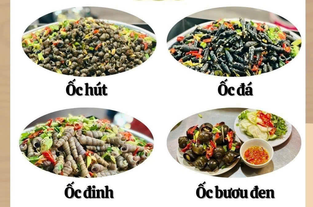 ỐC ĐÀ NẴNG MIX