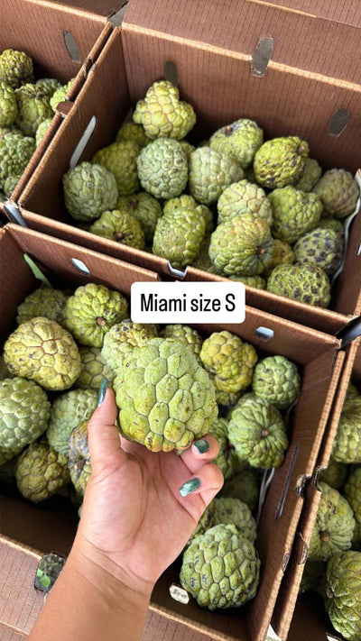 MẴNG CẦU NA FLORIDA FREESHIPPING OVN