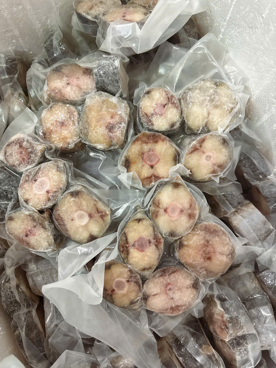 ĐUÔI CÁ THU CẮT KHÚC