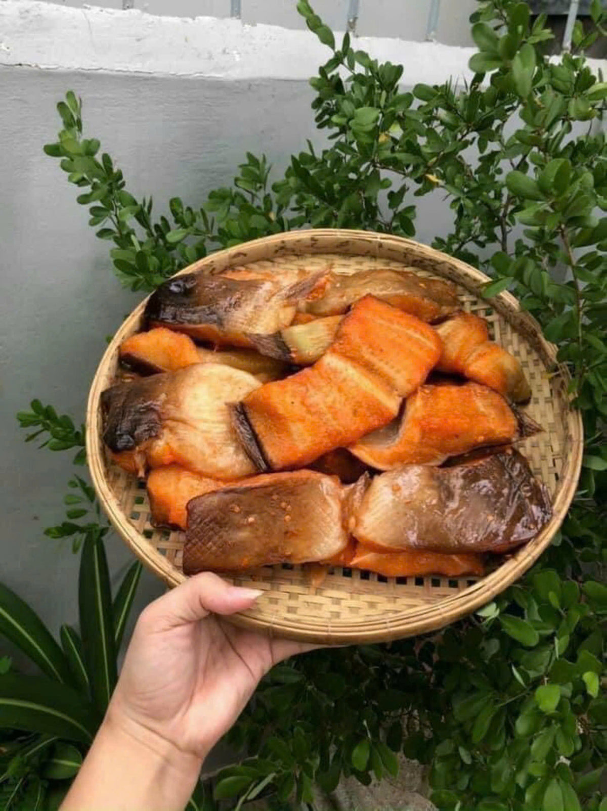 KHÔ CÁ NGÁT KHÚC 3 NẮNG