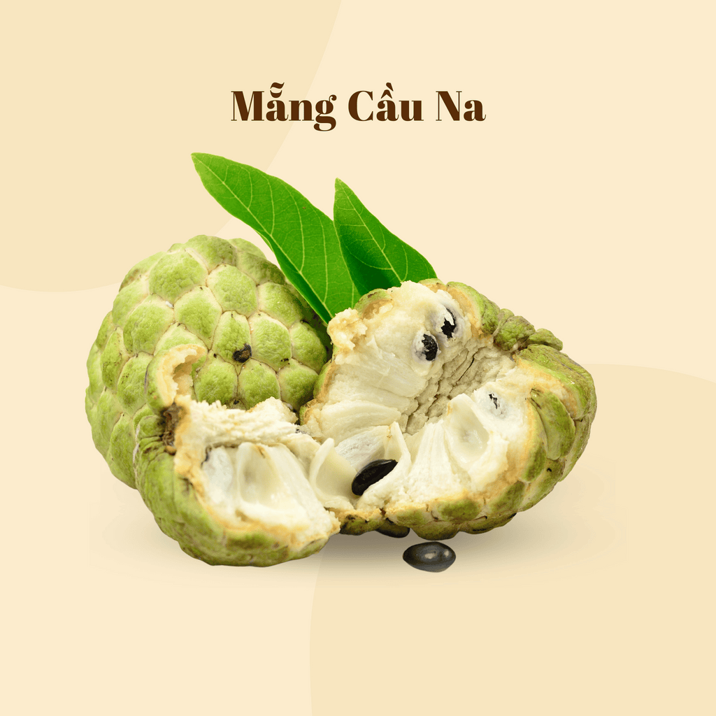 Mẵng Cầu Na | Fresh Custard Apple | Freeship Overnight