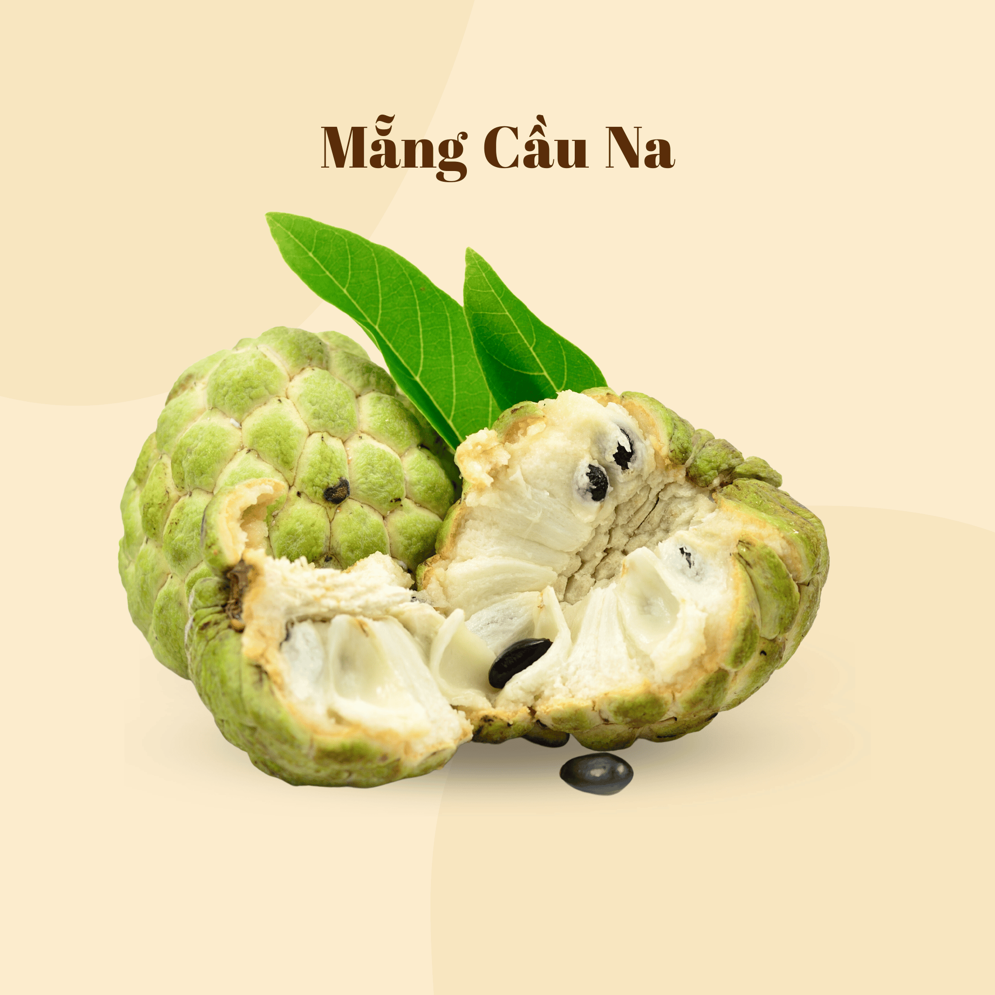 Mẵng Cầu Na | Fresh Custard Apple | Freeship Overnight