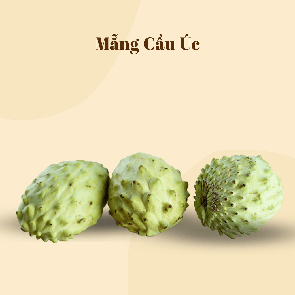 Mẵng Cầu Úc | Australia Cherimoya