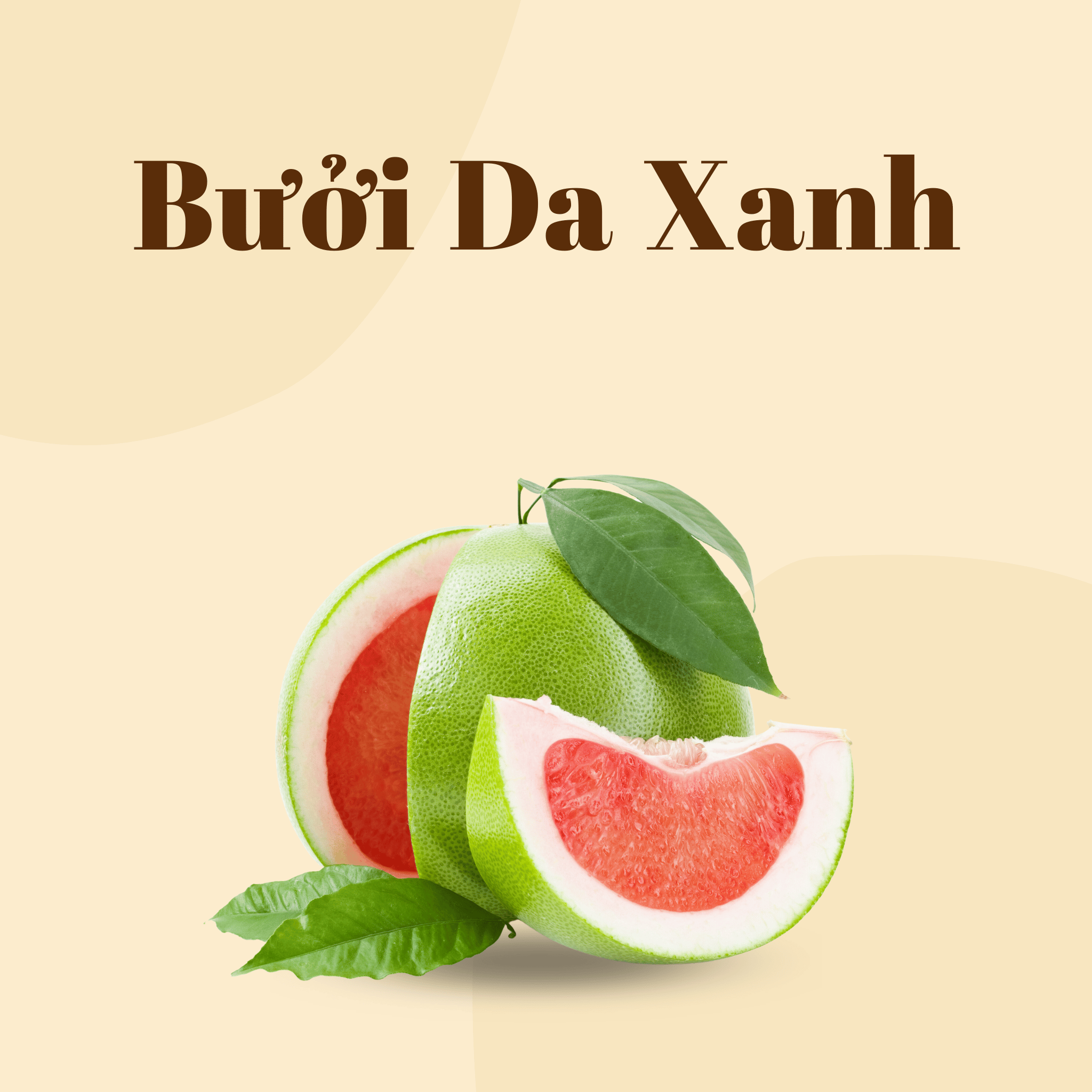 Bưởi Da Xanh | Green Pomelo | FREESHIP