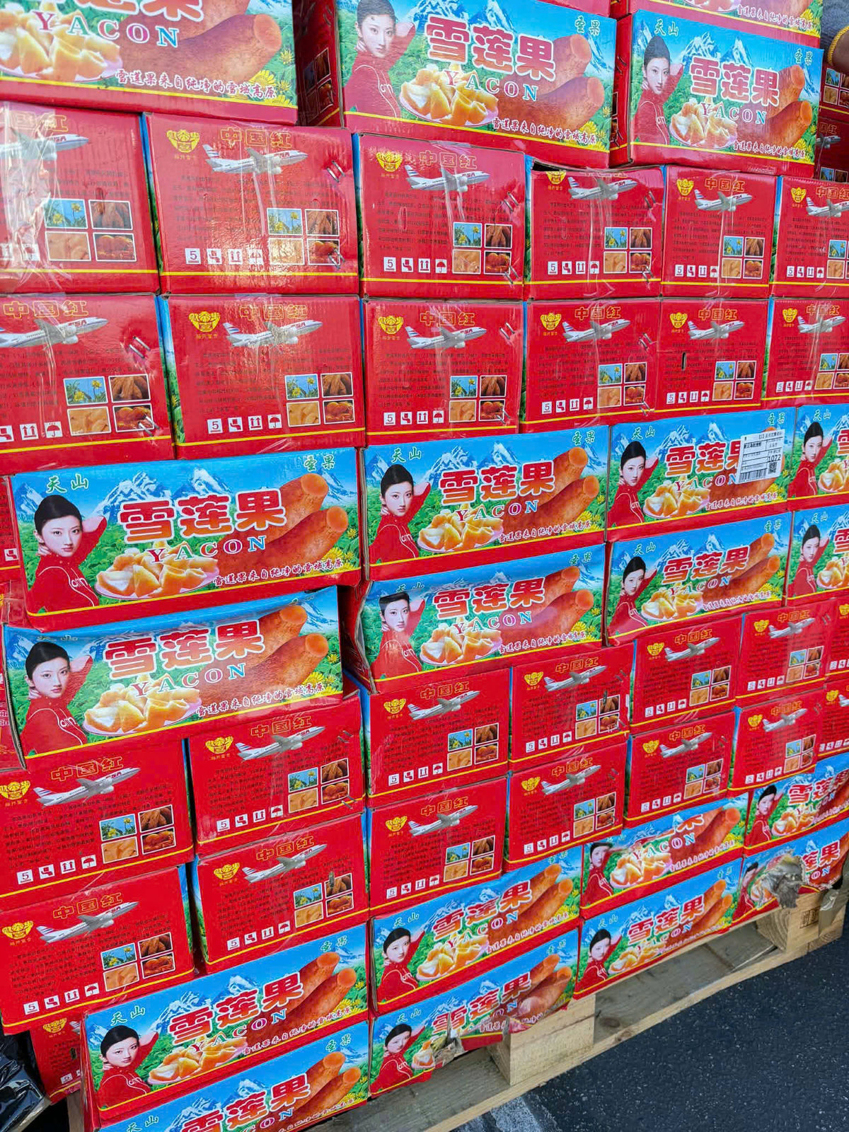 SÂM ĐẤT TƯƠI FREESHIPPING