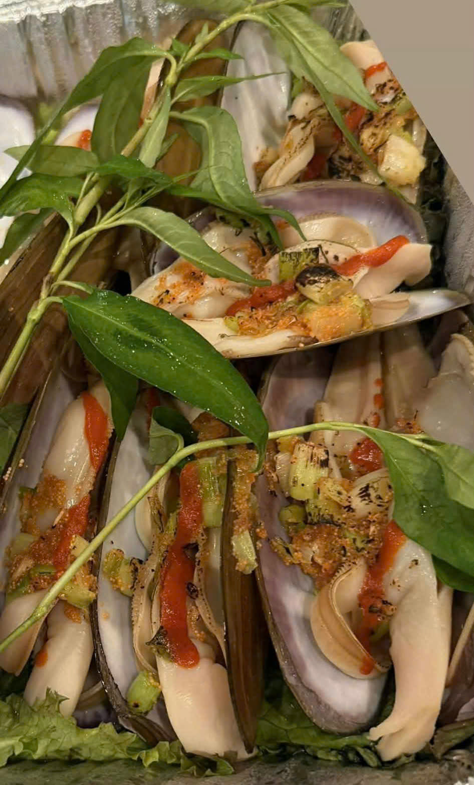 TU HÀI TƯƠI SỐNG 100% (bơi trong hồ)