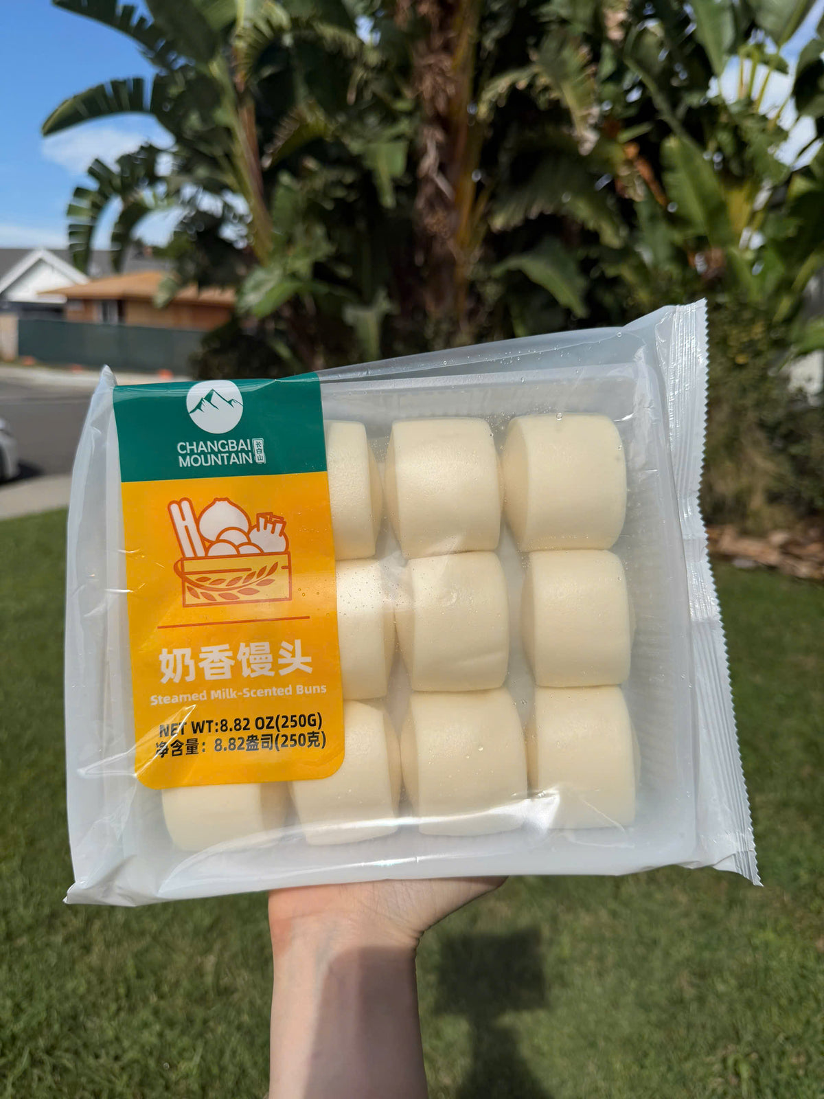 Bánh bao sữa