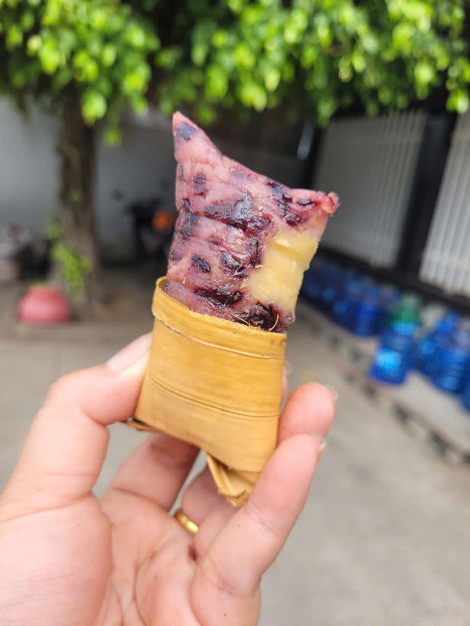 Bánh lá Dừa Nếp Than