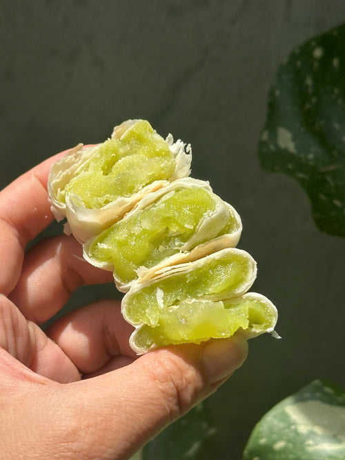BÁNH PÍA LÁ DỨA NƯỚNG VỊ SẦU RIÊNG