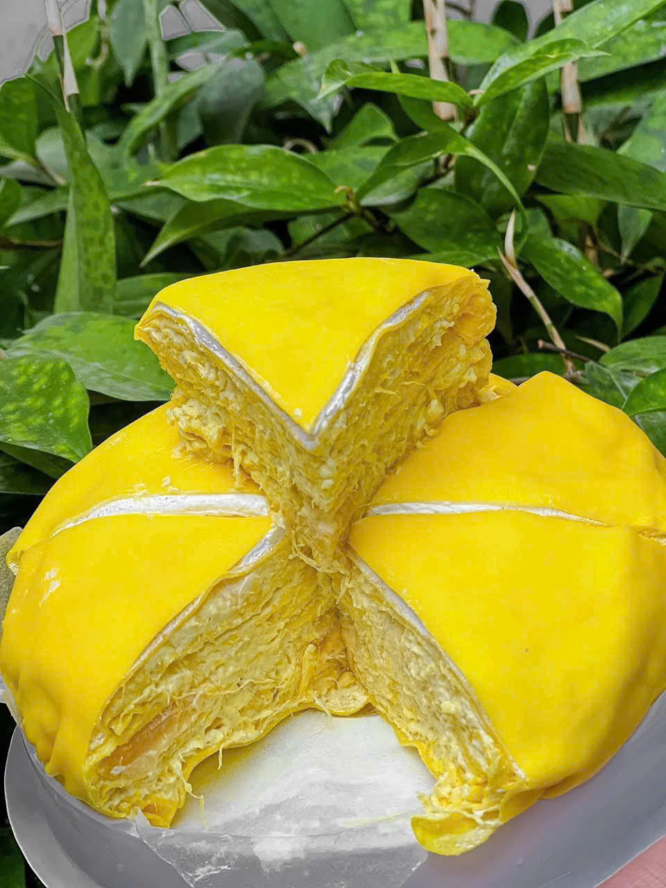BÁNH PHÚ SỸ SẦU RIÊNG 650G