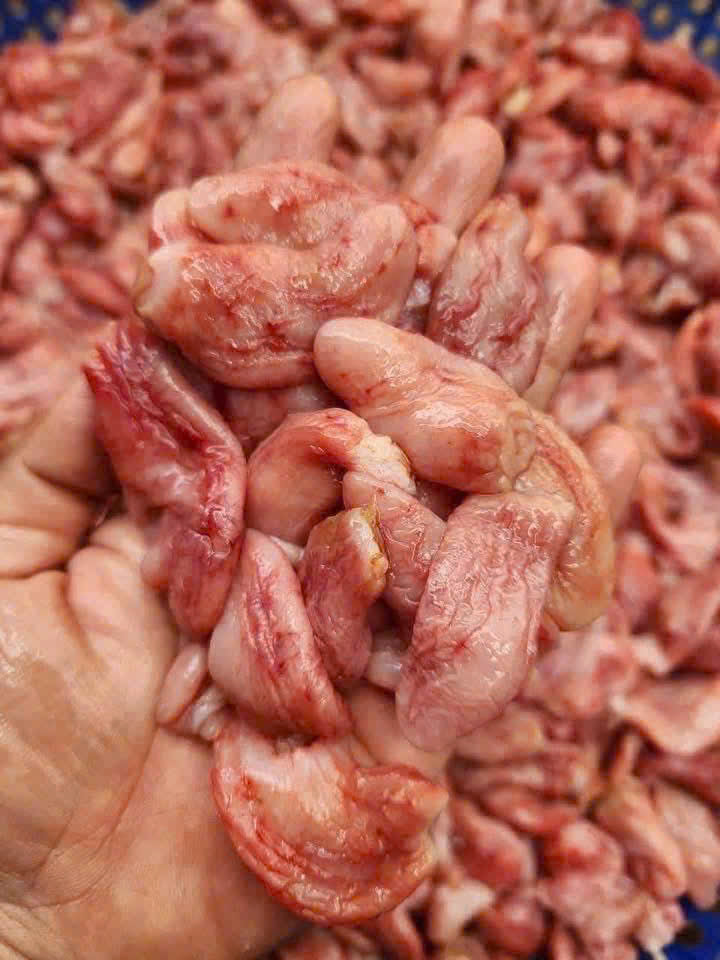 Bao tử cá basa