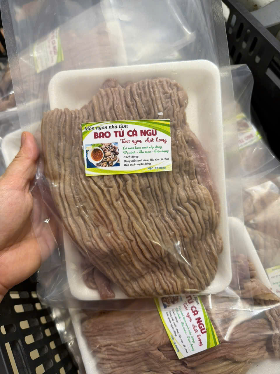 BAO TỬ CÁ NGỪ ĐẠI DƯƠNG