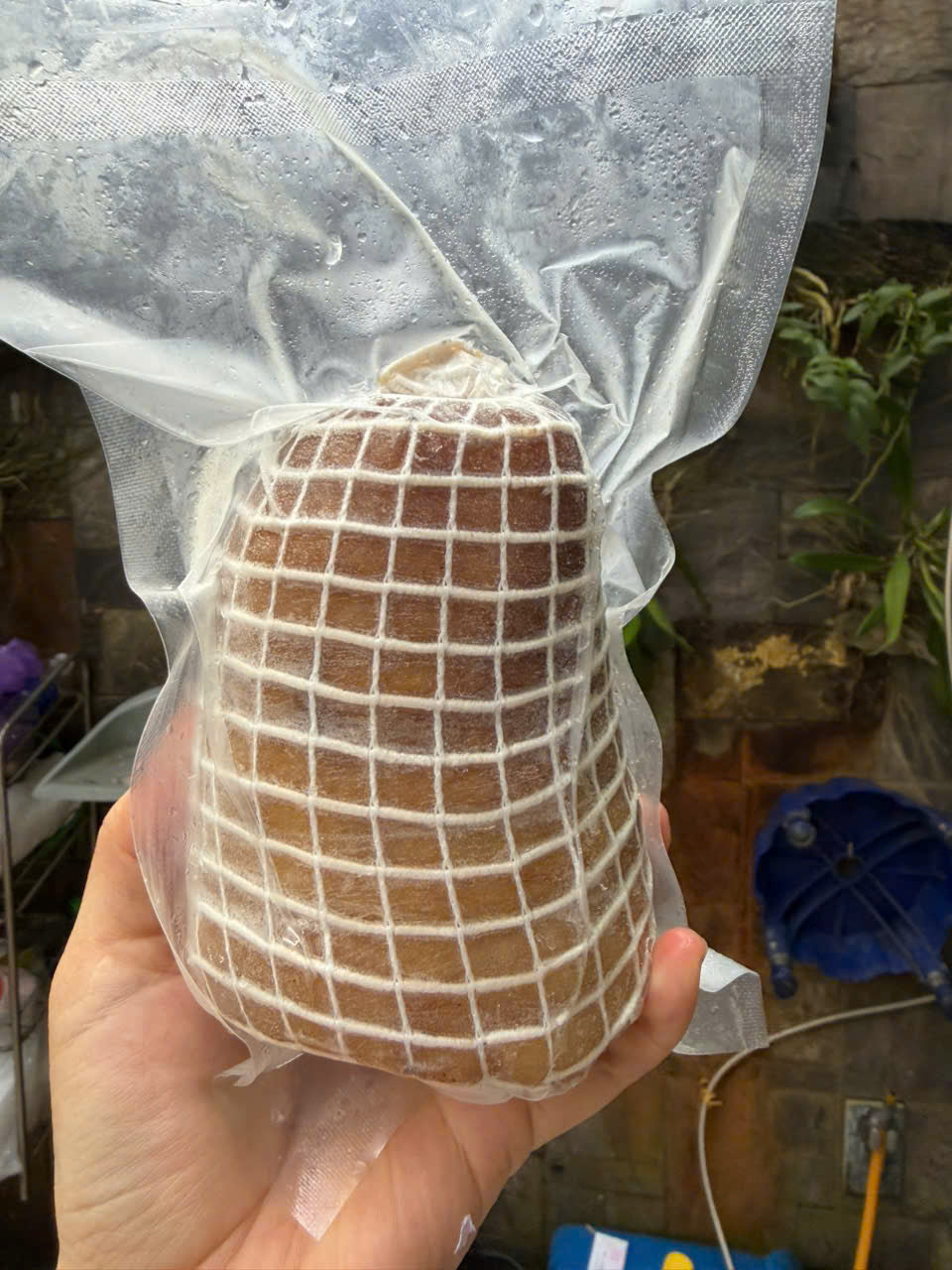 BẮP GIÒ HEO BÓ CHỈ RÚT XƯƠNG (đã hấp chín)