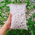 Bộc lọc dừa trắng