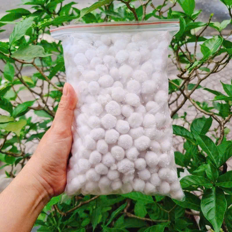 Bộc lọc dừa trắng