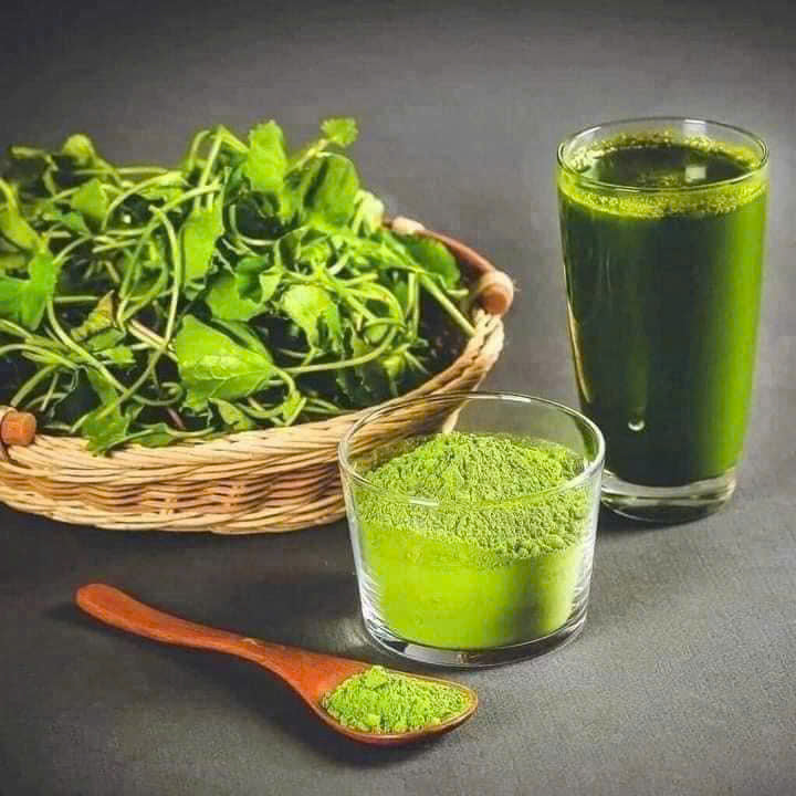 BỘT RAU MÁ SẤY LẠNH