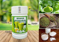 BỘT RAU MÁ ĐẬU XANH CỐT DỪA