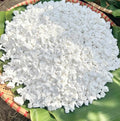 BỘT SẮN DÂY TA NGUYÊN CHẤT