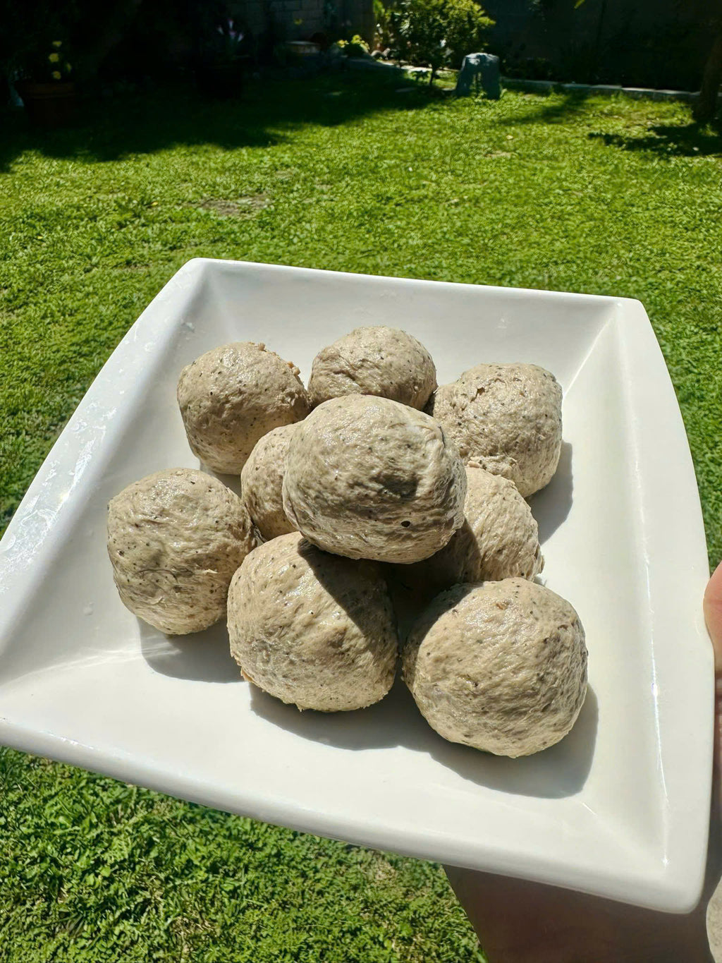 Bò viên gân nhà làm tại mỹ