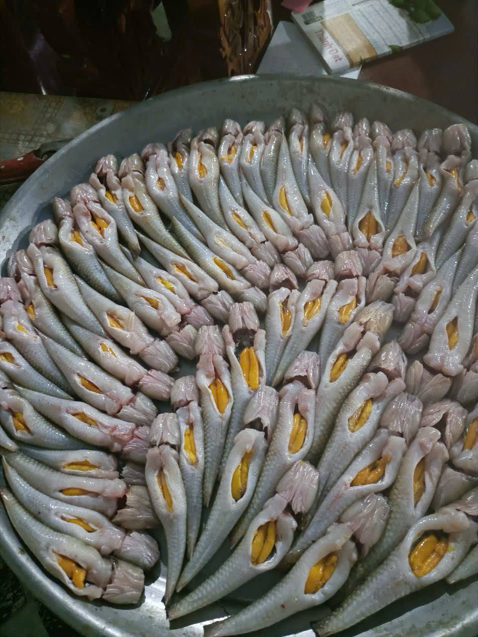 CÁ BÓNG CÁT TRỨNG
