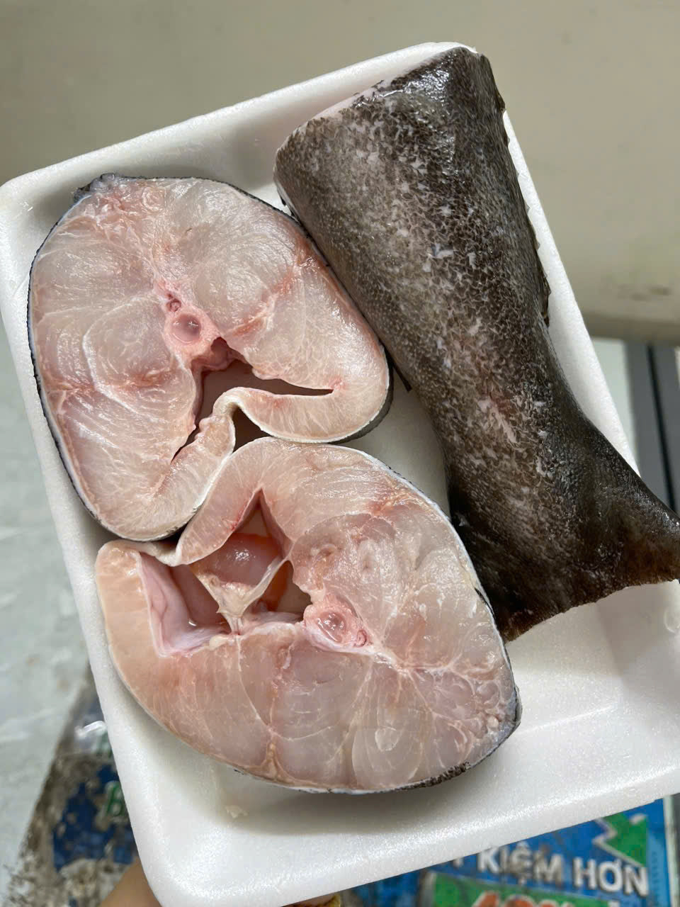 CÁ BÓP cắt khoanh tươi không ướp