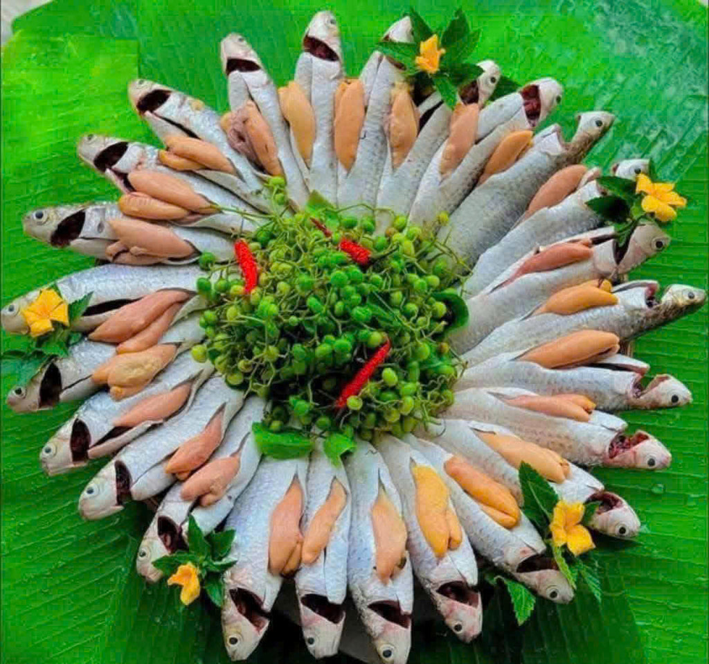 Cá Đối Trứng