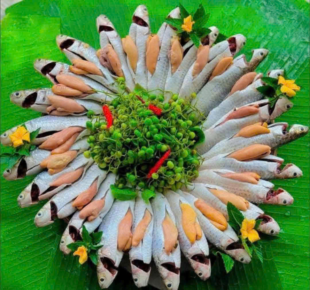 Cá Đối Trứng