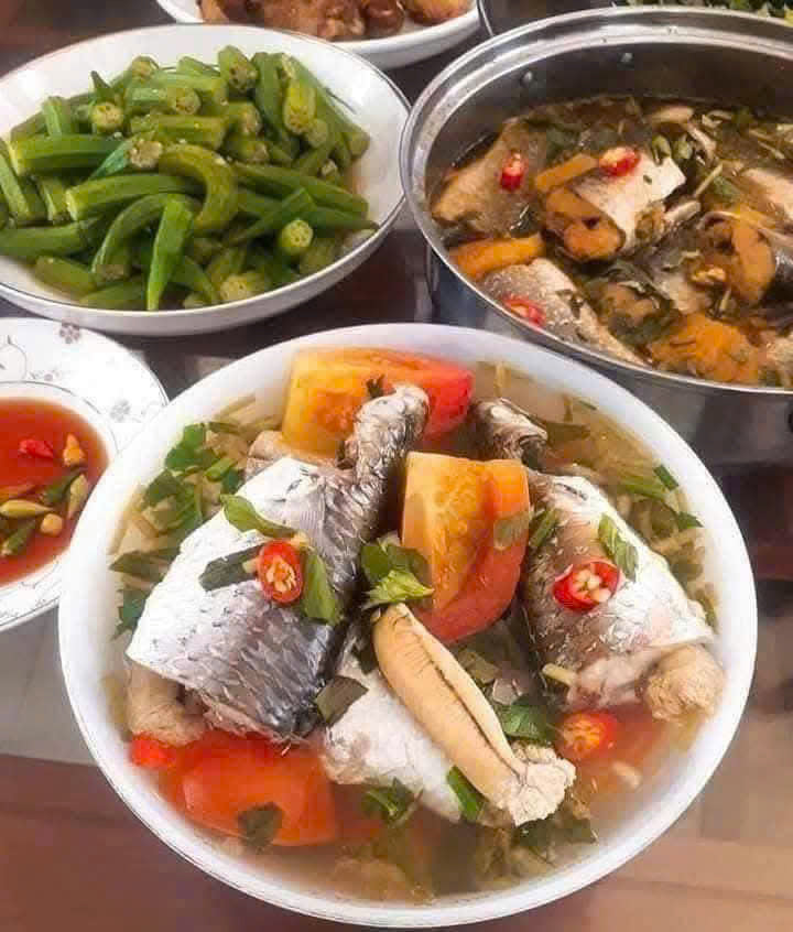 Cá Đối Trứng