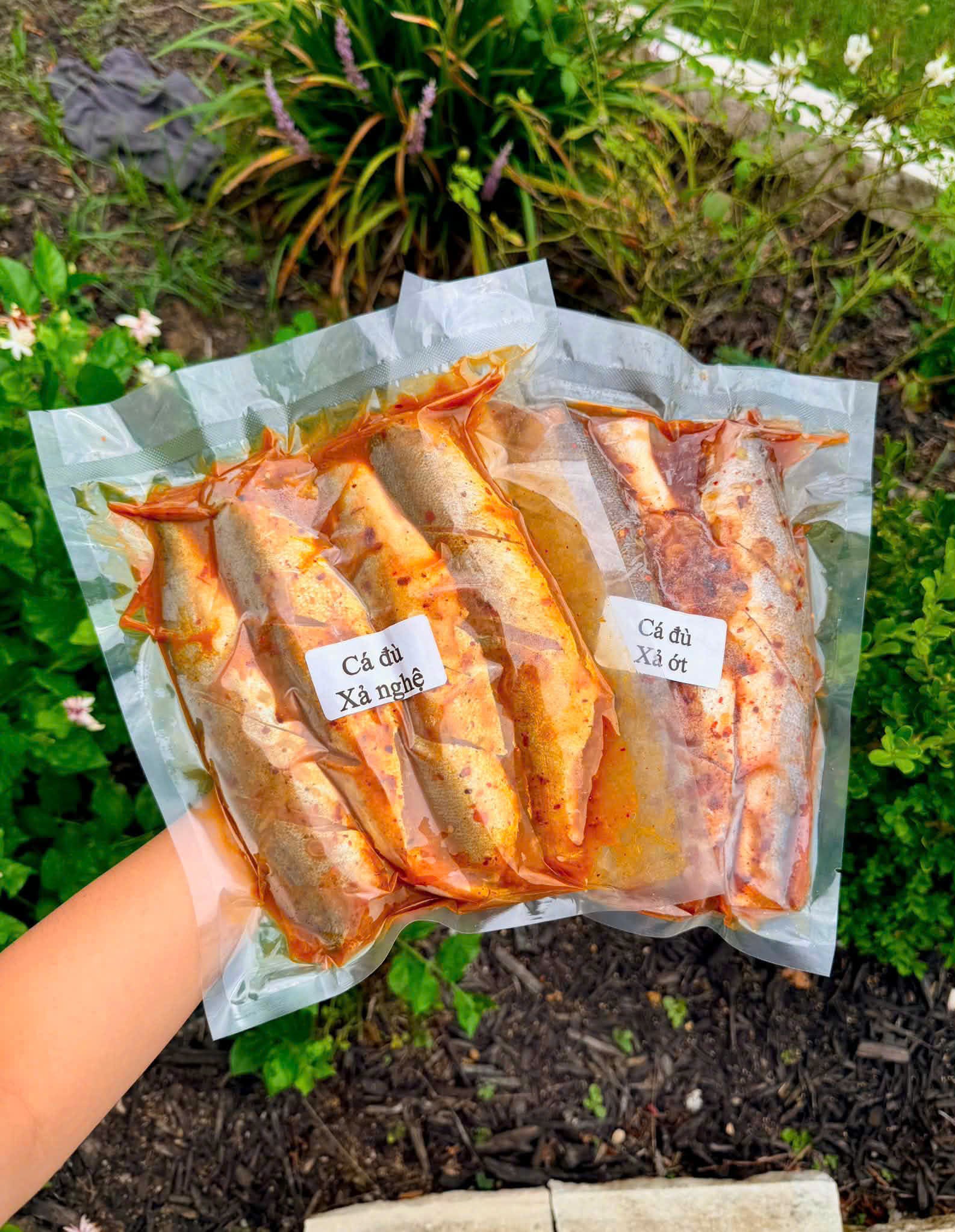 Cá đù ướp sả ớt bịch 3lbs