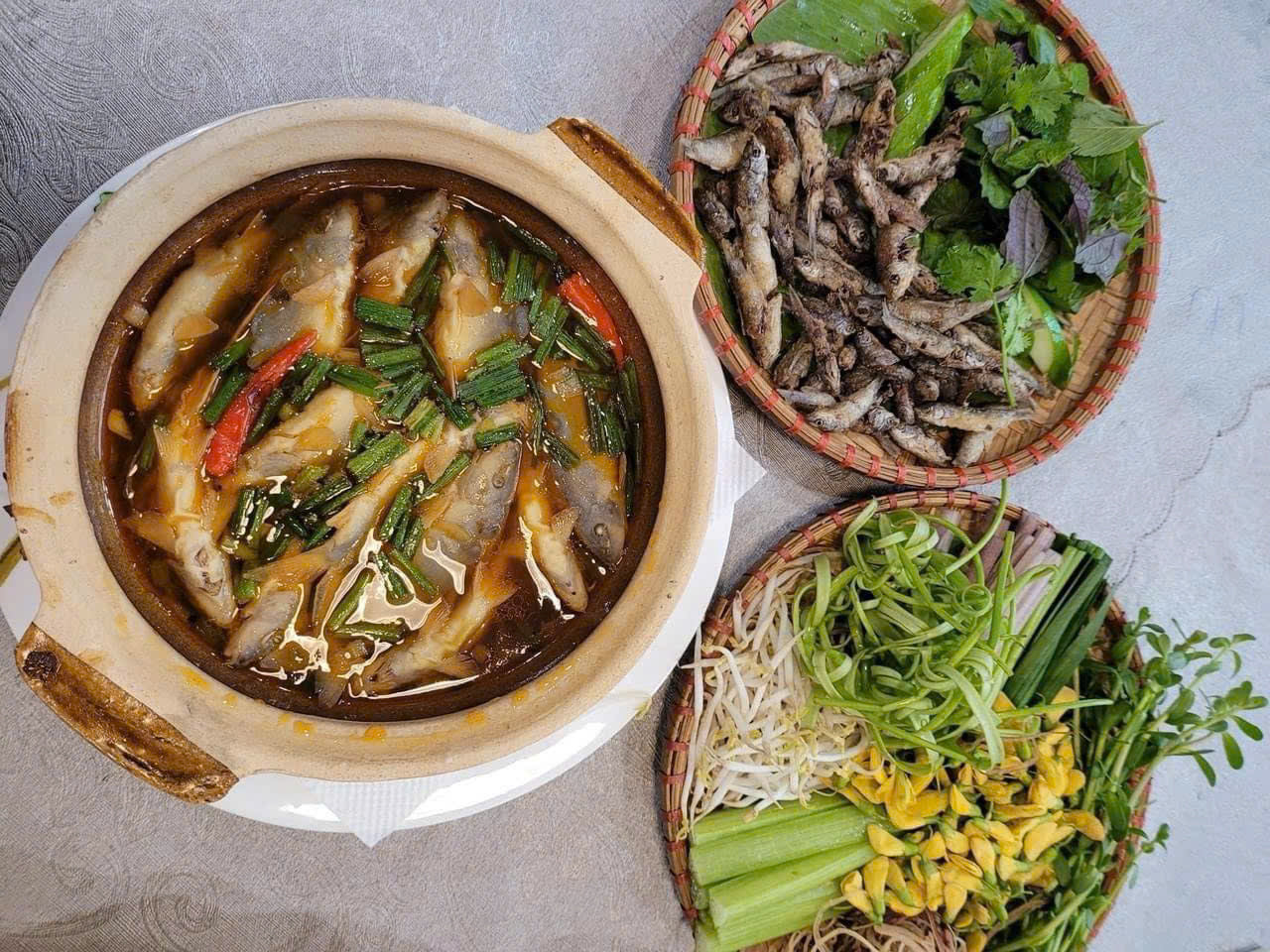CÁ HEO NƯỚC NGỌT “ đuôi đỏ miền Tây “  (CÁ HEO TƯƠI)