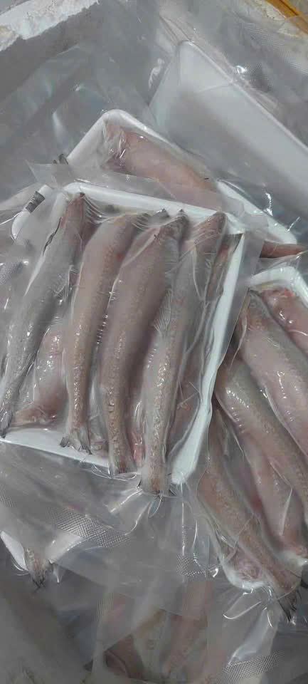 CÁ KHOAI TƯƠI LÀM SẠCH