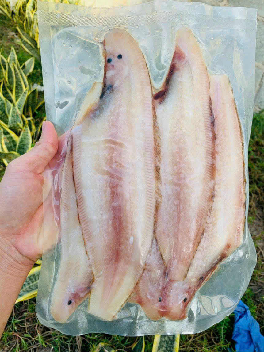 CÁ LƯỠI TRÂU TƯƠI SIZE LỚN