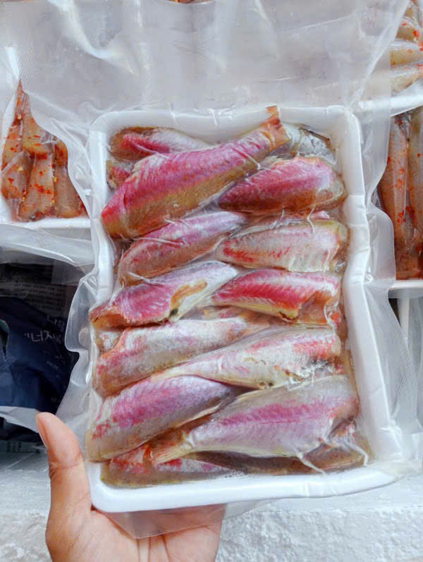 CÁ PHÈN tươi