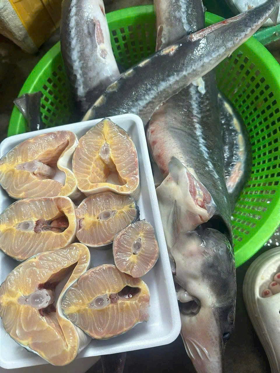 Cá tầm cắt khúc tưoi không ướp