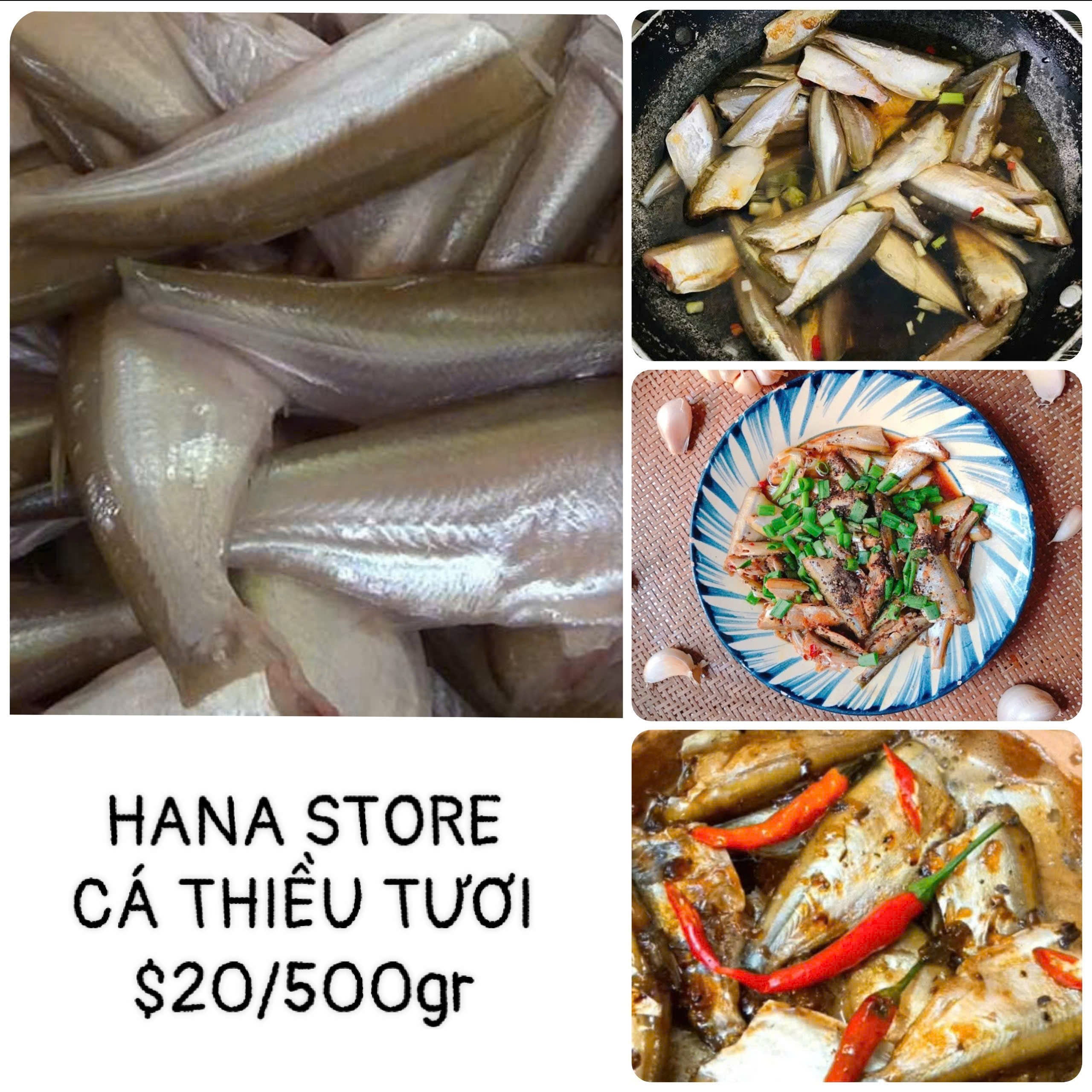 Cá thiều tươi