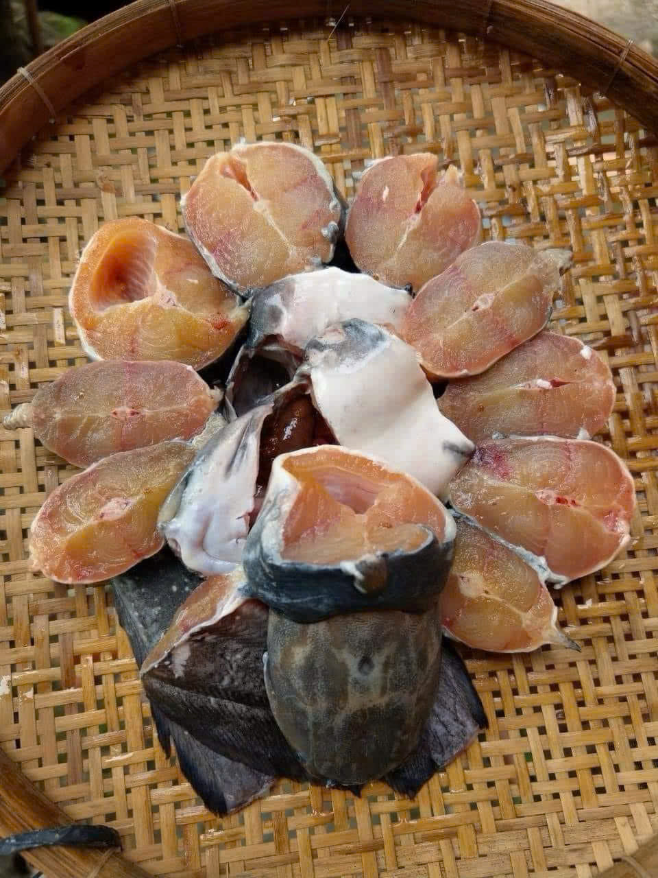 Cá trê vàng