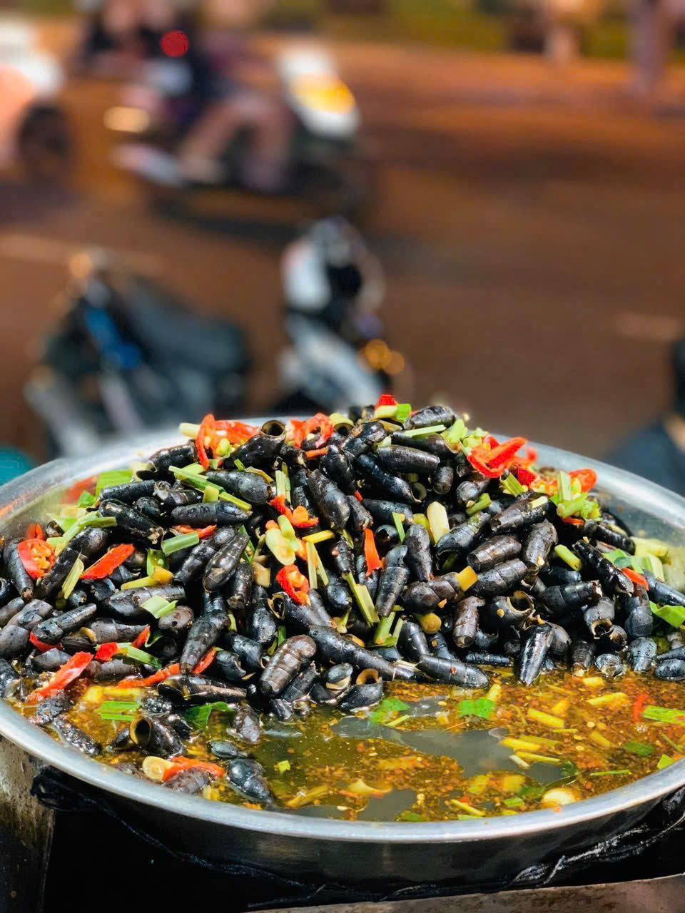 Ốc đá ĐN