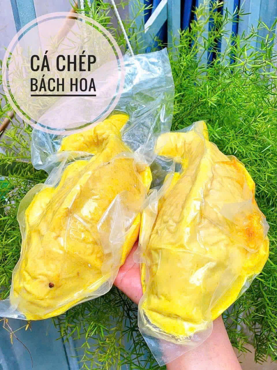 CHẢ HOA CÁ CHÉP