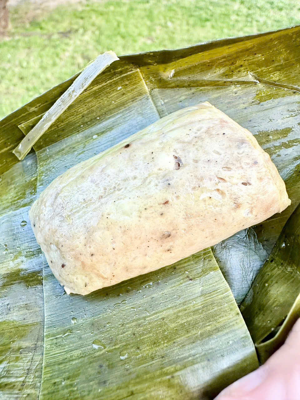 CHẢ HUẾ MINI