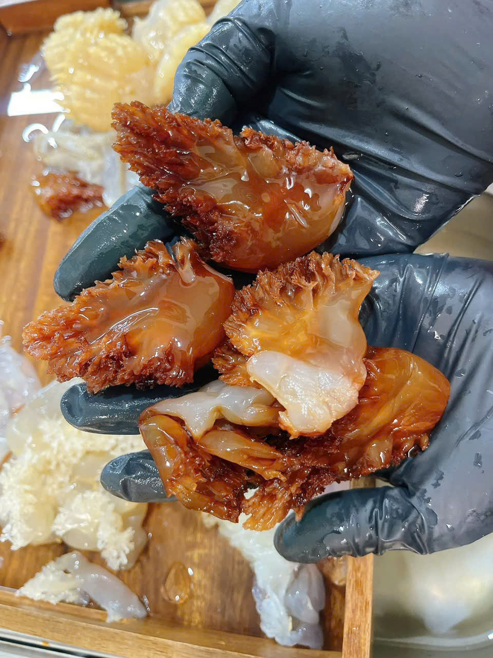 CHÂN SỨA ĐỎ MẬT tươi