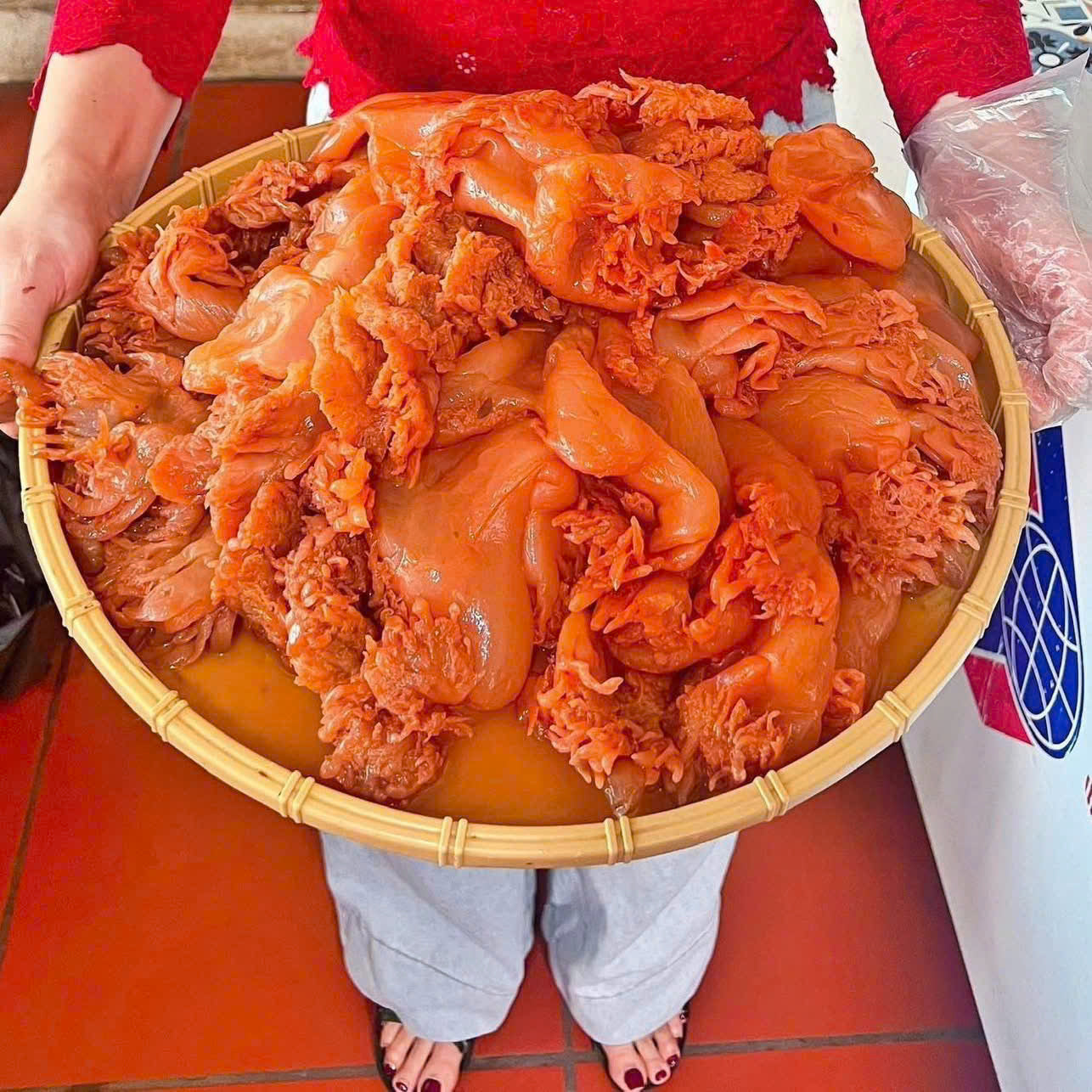 Chân SỨA MUỐI VẸT